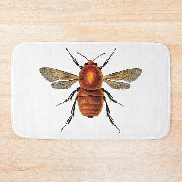Item preview, Vintage illustrations of insects:  Bug me - Number 2 designed and sold by CoolVintageArt.