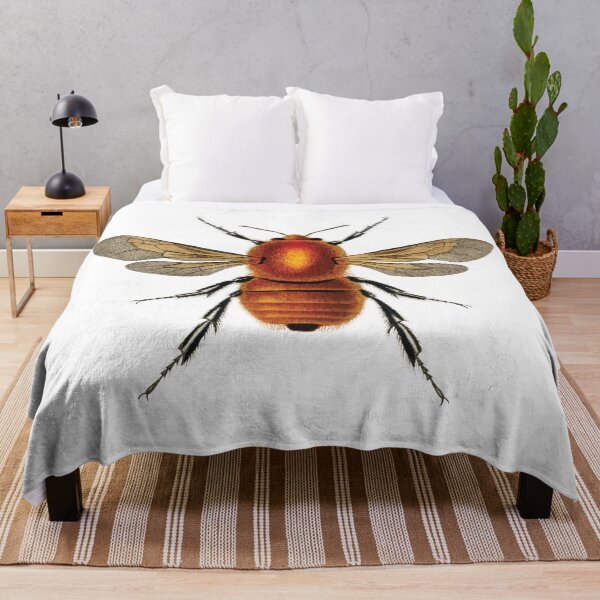 Item preview, Vintage illustrations of insects:  Bug me - Number 2 designed and sold by CoolVintageArt.