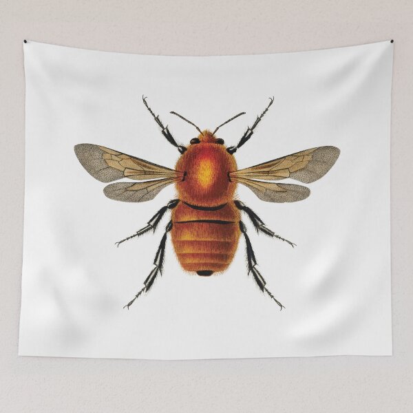 Item preview, Vintage illustrations of insects:  Bug me - Number 2 designed and sold by CoolVintageArt.