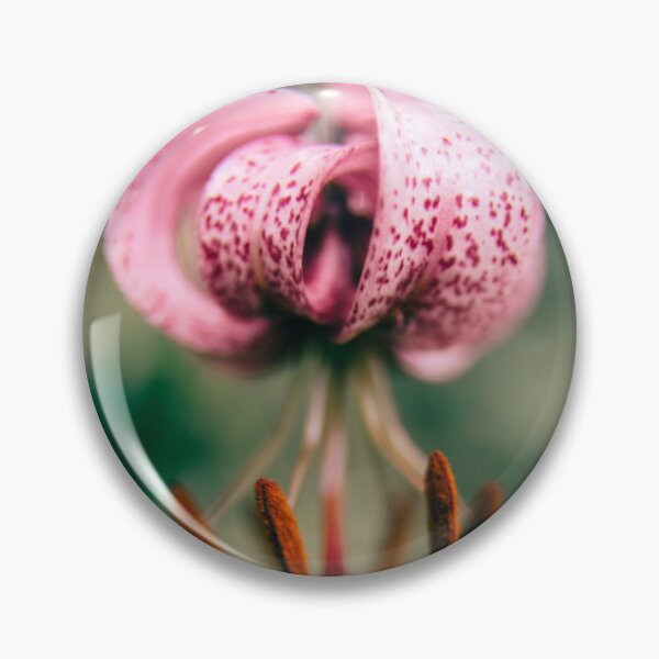 Item preview, Flower designed and sold by GukjinKim.