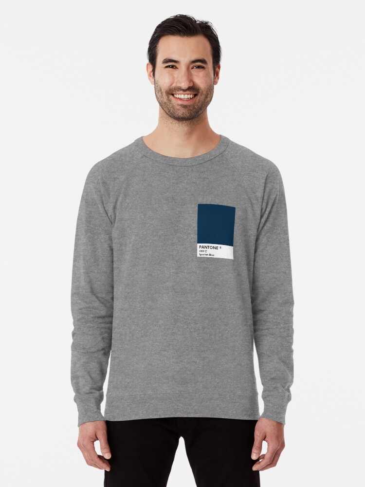 Case Western Reserve University PANTONE Swatch