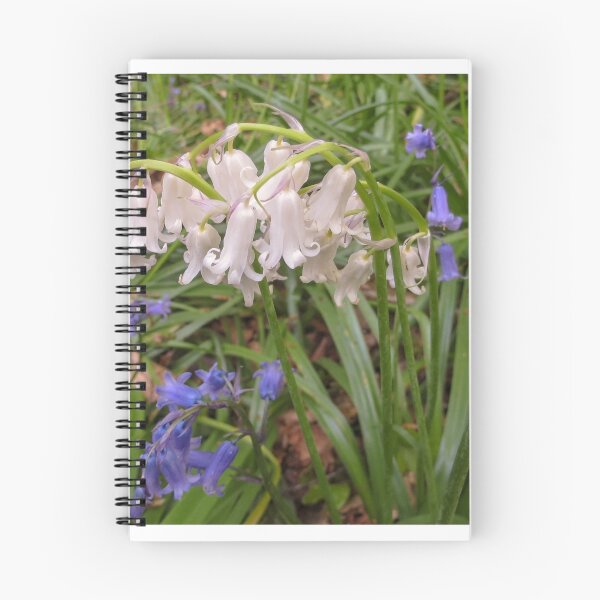 Item preview, White bluebell designed and sold by Surreybirder.