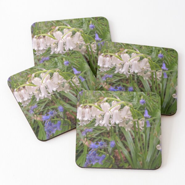 Item preview, White bluebell designed and sold by Surreybirder.
