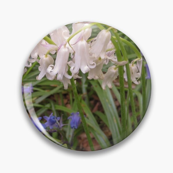 Item preview, White bluebell designed and sold by Surreybirder.