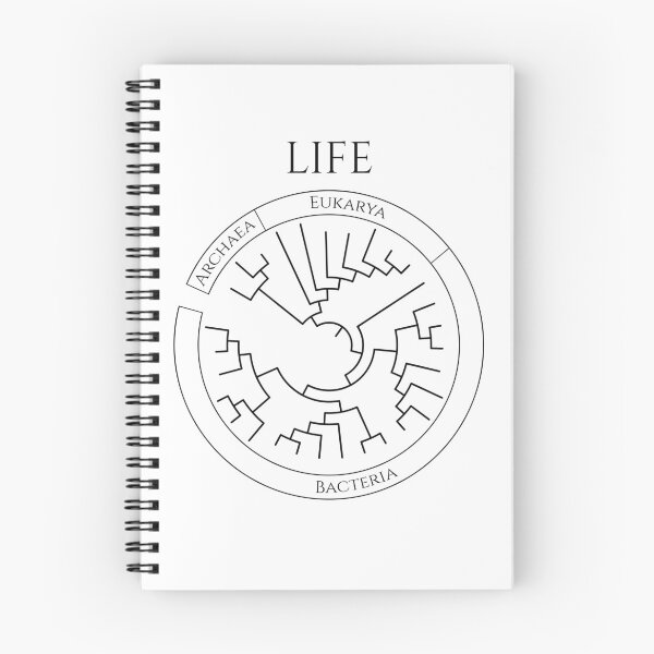 Item preview, Circular Tree of Life designed and sold by Biology Simulations.