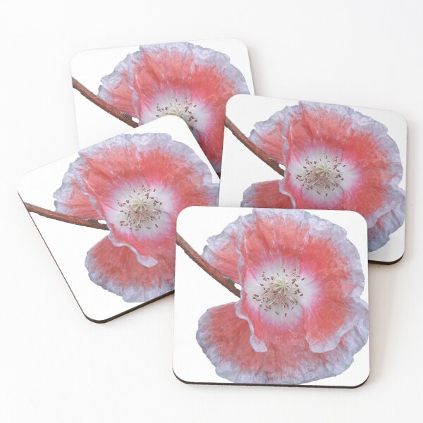 Item preview, KABFA Designs and Volksbolts, Vintage English Country Garden, peach and white poppy, Flowers, flower, designed and sold by KABFA Designs.