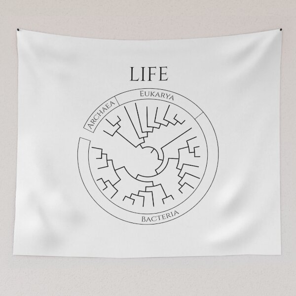 Item preview, Circular Tree of Life designed and sold by Biology Simulations.