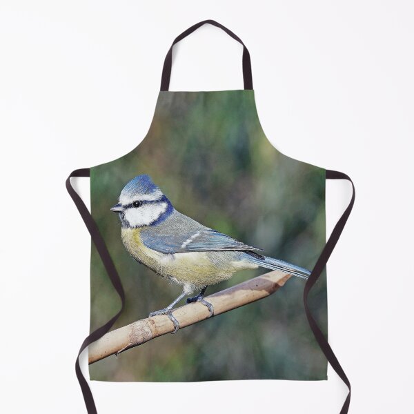 Item preview, r1230/ New Finition 2021 : " Mésange Bleu " 01 (c)(t) Olavia-Olao / Okaio Créations designed and sold by o.okaïo.