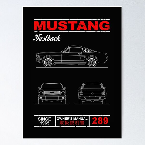 Blueprint of the Mustang Fastback