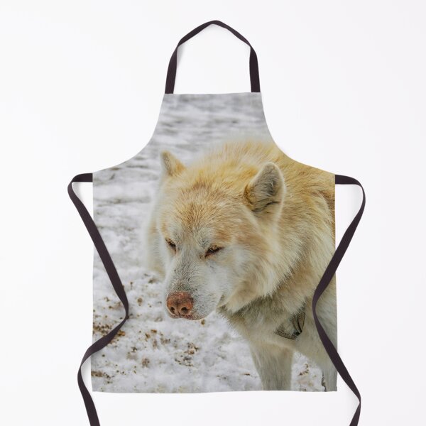 Item preview, White husky on snow designed and sold by Photopat.