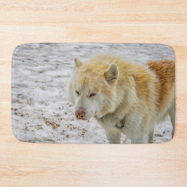 Item preview, White husky on snow designed and sold by Photopat.