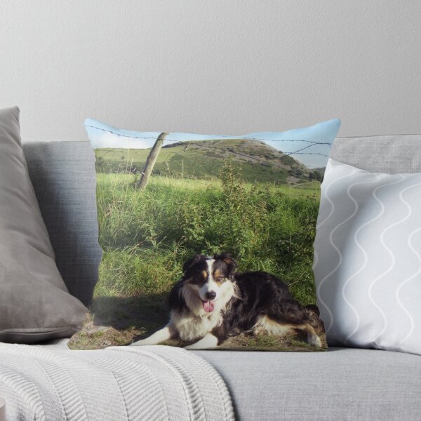 Item preview, Life with Laddie designed and sold by Michael Haslam.
