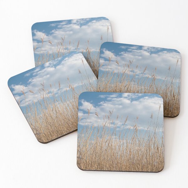 Item preview, Reeds against a blue sky (Norfolk Broads) designed and sold by cdkphotos.