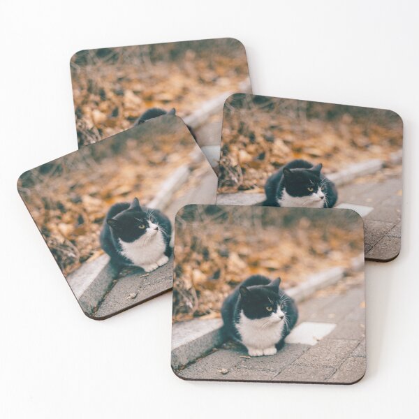 Item preview, Cat on the street designed and sold by GukjinKim.