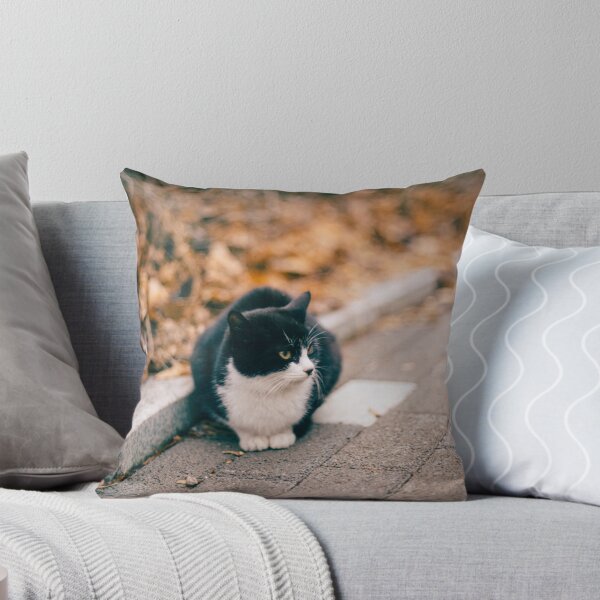Item preview, Cat on the street designed and sold by GukjinKim.