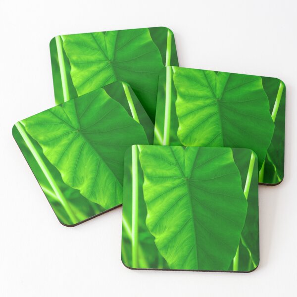 Item preview, Beautiful lime green textured leaf in nature designed and sold by FCEalin.