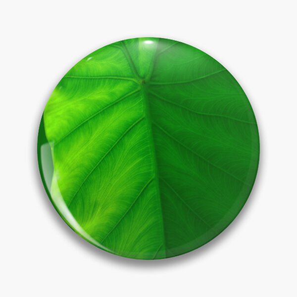Item preview, Beautiful lime green textured leaf in nature designed and sold by FCEalin.