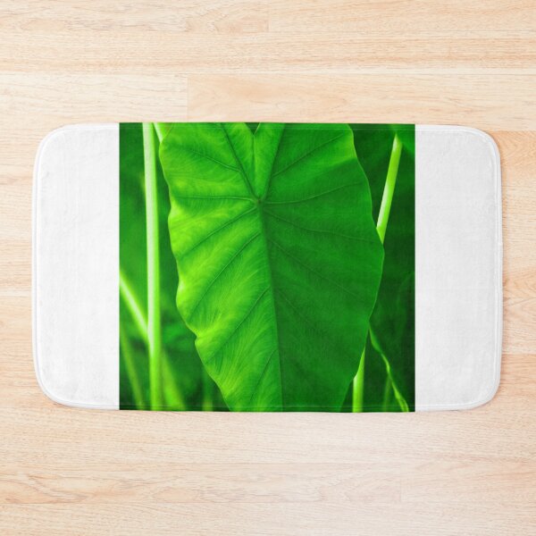 Item preview, Beautiful lime green textured leaf in nature designed and sold by FCEalin.