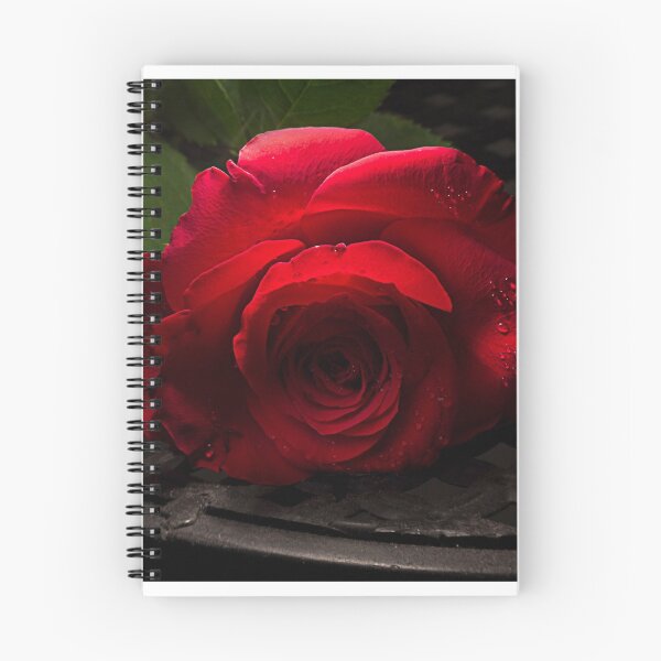 Item preview, The Rose designed and sold by Rob Evans.