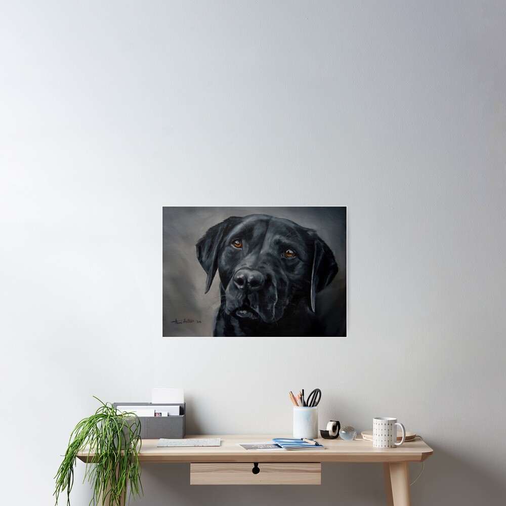 Black Beauty - labrador retriever Poster