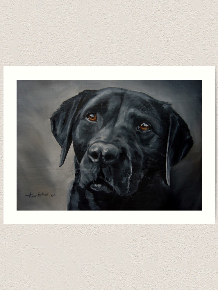 Labrador retriever outlet wall art