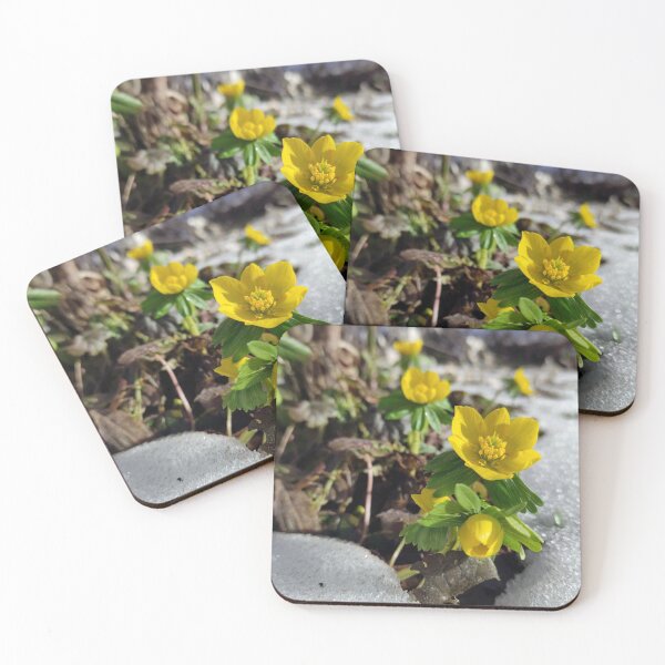 Item preview, Winterling in the snow designed and sold by Gourmetkater.