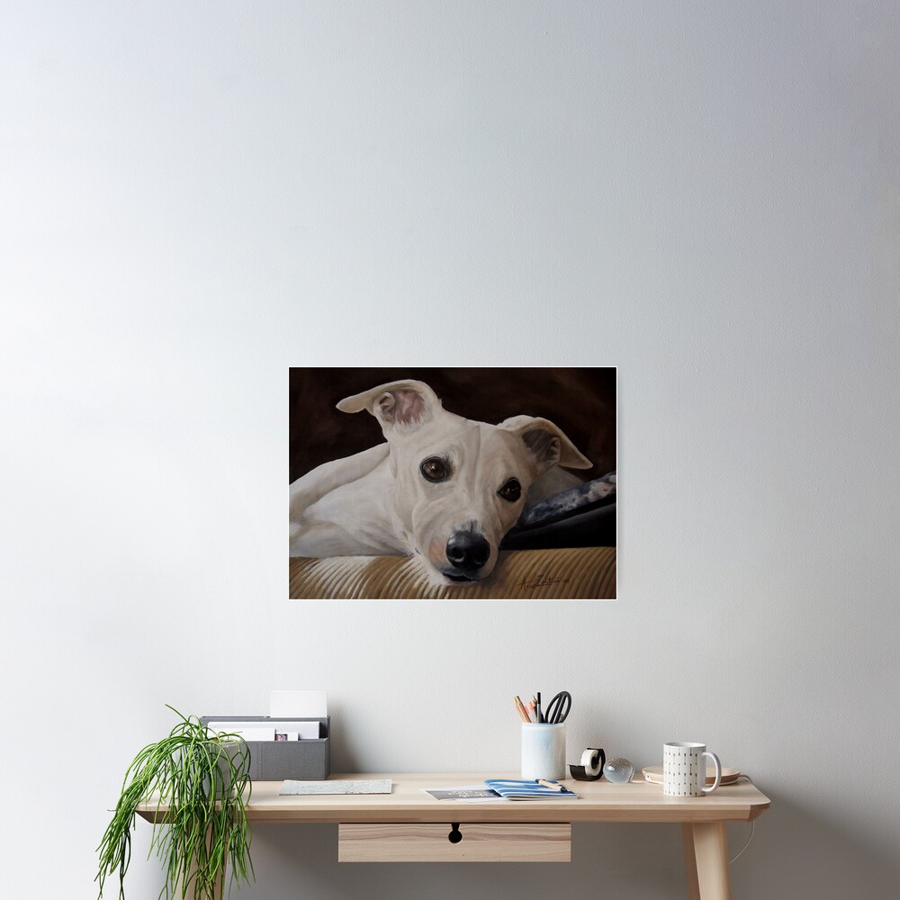 Whippet At Rest Poster
