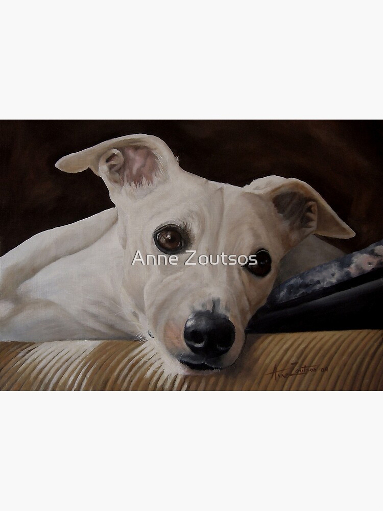 Whippet At Rest by AnneZ