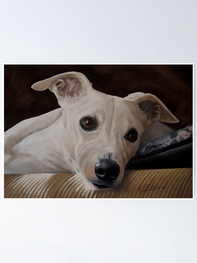 Alternate view of Whippet At Rest Poster