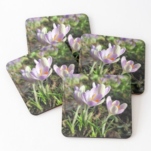 Item preview, Crocuses designed and sold by Gourmetkater.
