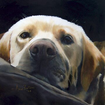 Artwork thumbnail, Mellow Yellow by Anne Zoutsos