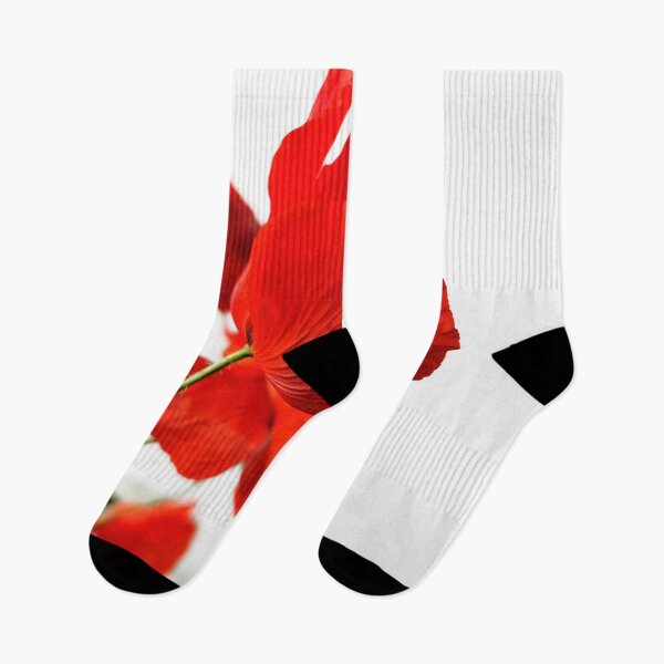 Item preview, Red Poppies designed and sold by angelo cerantola.