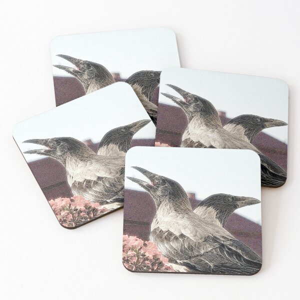 Item preview, Young hooded crows designed and sold by Babbler01.