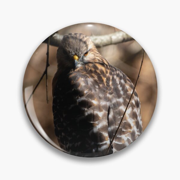 Item preview, Hawk in The Shadows designed and sold by BowToe.