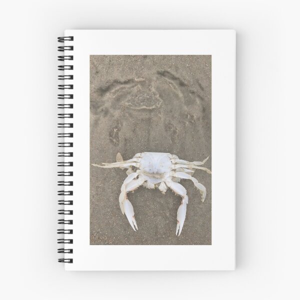 Item preview, Slow Moving Crab designed and sold by Mary Kaderabek-Aleckson.