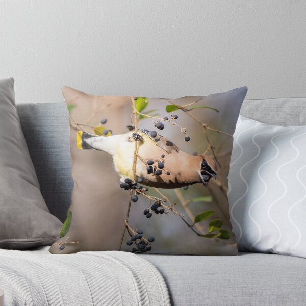 Item preview, La fiesta de las bayas designed and sold by BowToe.