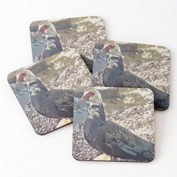Item preview, Muscovy Ducks designed and sold by Madelyn Paige.