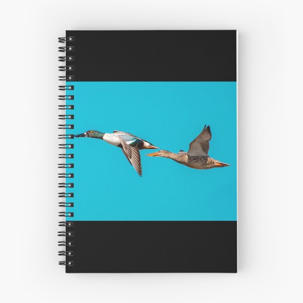 Item preview, Flying Cupule of Ducks.  designed and sold by BowToe.