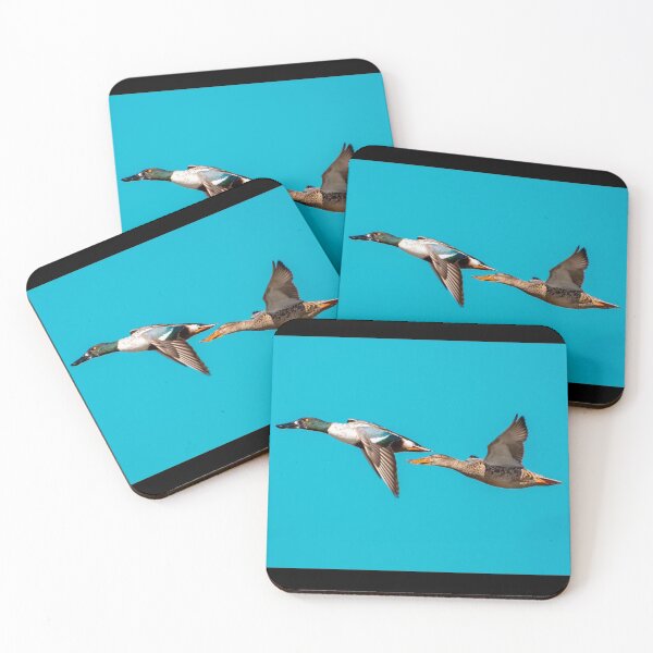 Item preview, Flying Cupule of Ducks.  designed and sold by BowToe.