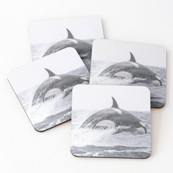 Item preview, California Transient Killer Whale, CA51 Star designed and sold by Selena Rivera.