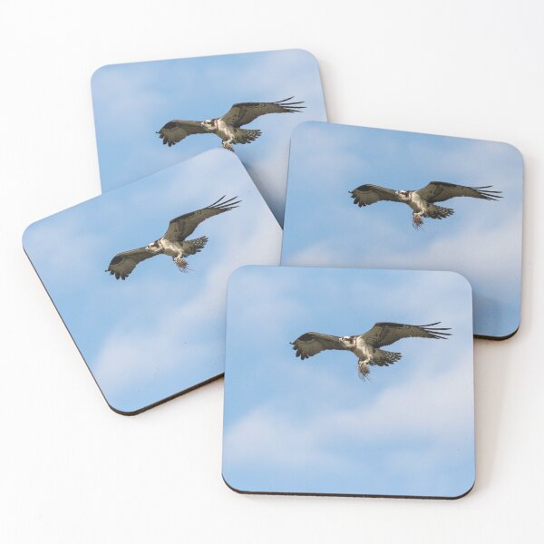 Item preview, Osprey 2021-2 designed and sold by Thomasyoung.