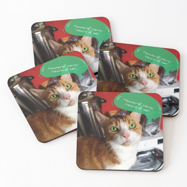 Item preview, Things Cats don't understand #2 designed and sold by Captain Sir Murphy T. Cat.