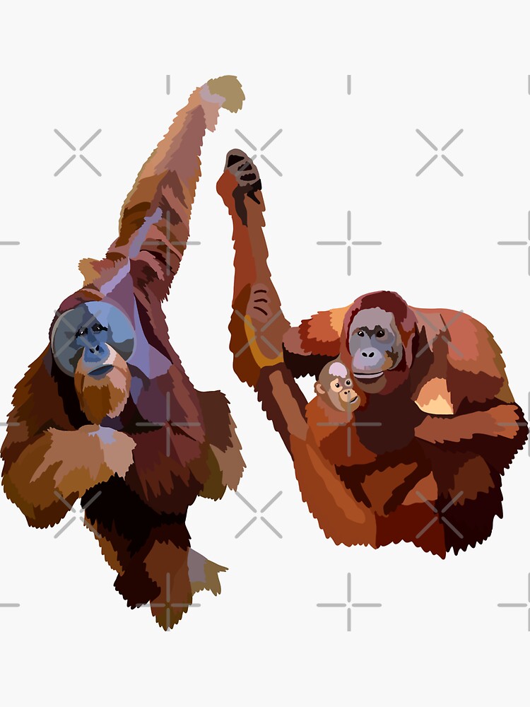 Thumbnail 3 of 3, Sticker, O is for Orangutan designed and sold by thezoogirl.