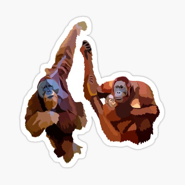 O is for Orangutan  Sticker