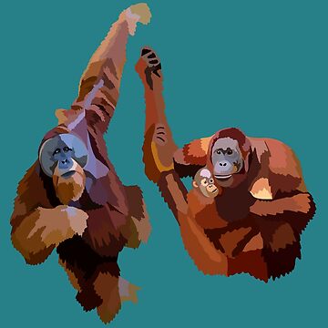 Artwork thumbnail, O is for Orangutan by thezoogirl