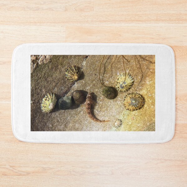 Item preview, Rock Pool designed and sold by beavo.