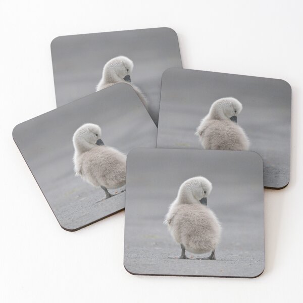 Item preview, Fluffy young cygnet designed and sold by ClaireChown.