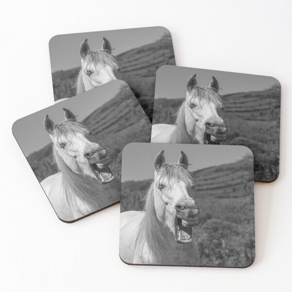 Item preview, Funny horses in nature. Cute and friendly horse yawning. Black and white photography. designed and sold by AylaHarbich.