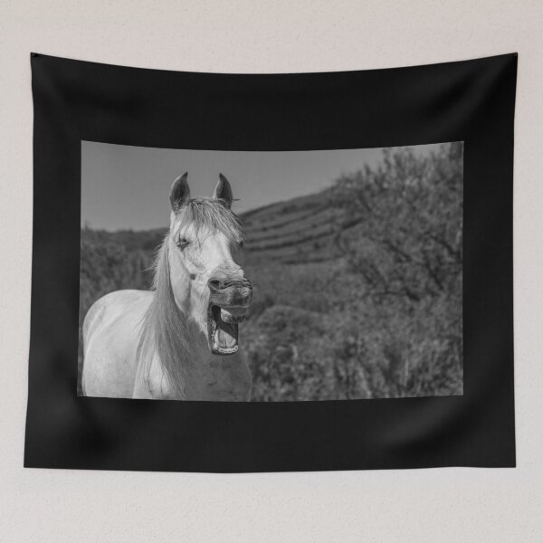 Item preview, Funny horses in nature. Cute and friendly horse yawning. Black and white photography. designed and sold by AylaHarbich.