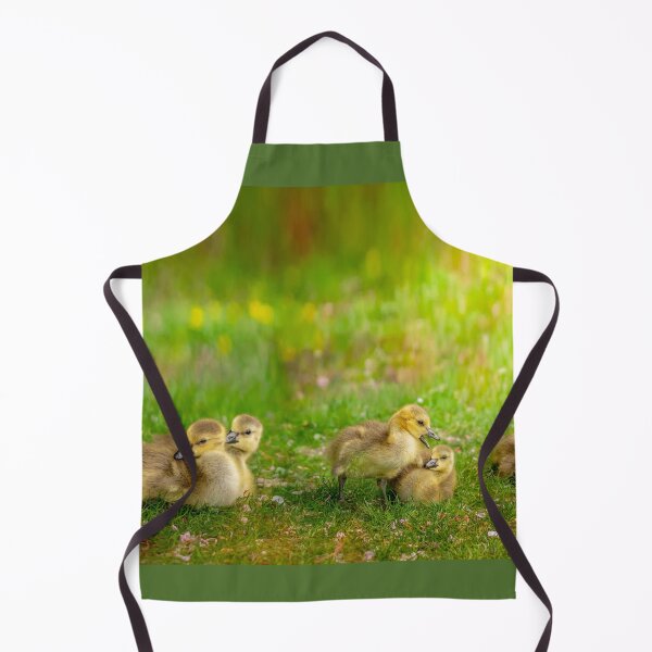 Item preview, Ducklings designed and sold by LudaNayvelt.